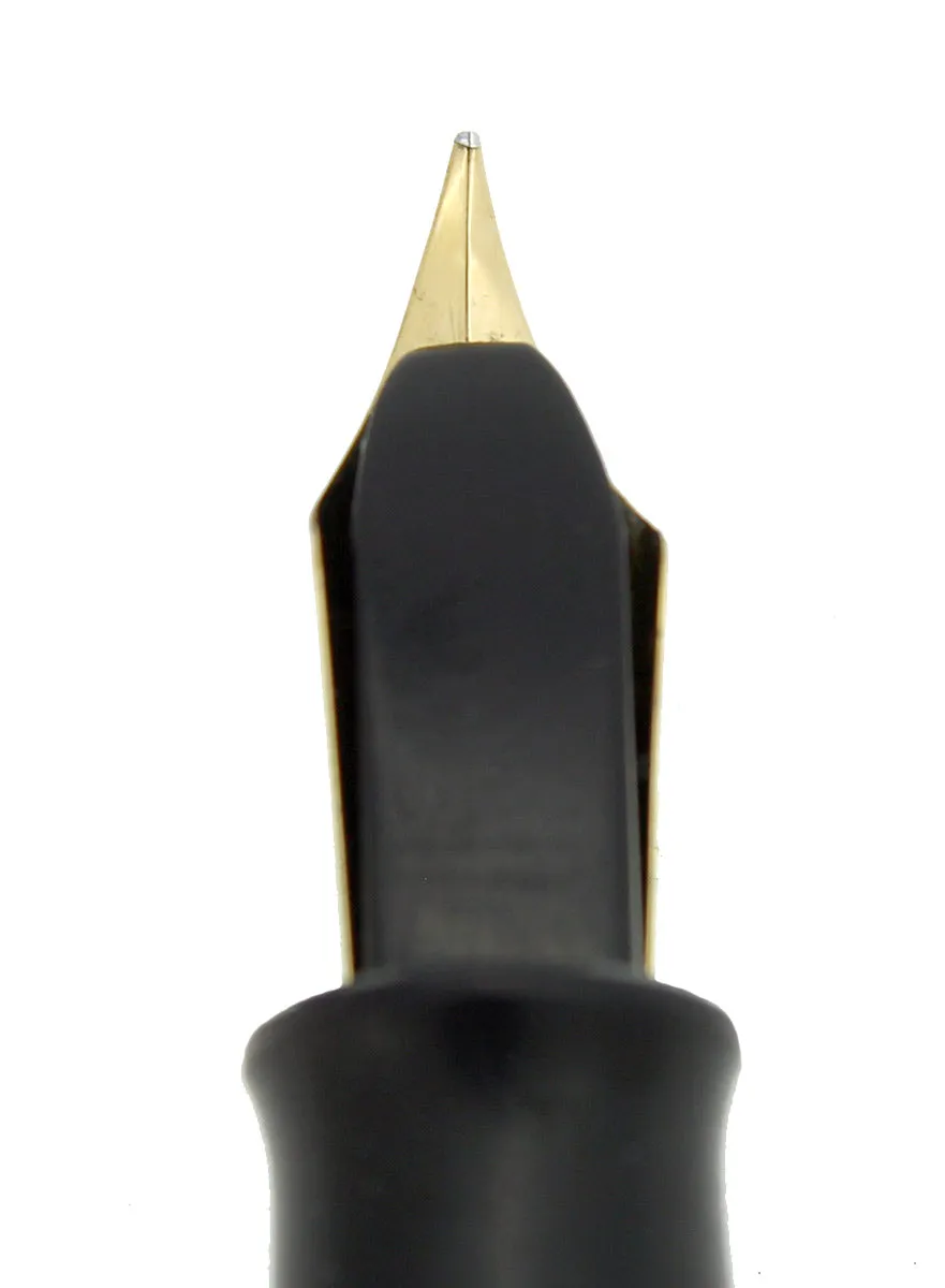 1920S WATERMAN #16 PSF BLACK CHASED HARD RUBBER F-BBB  NIB FOUNTAIN PEN RESTORED
