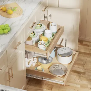 2 Tier Pull Slide Out Cabinet Organizer Hard Close