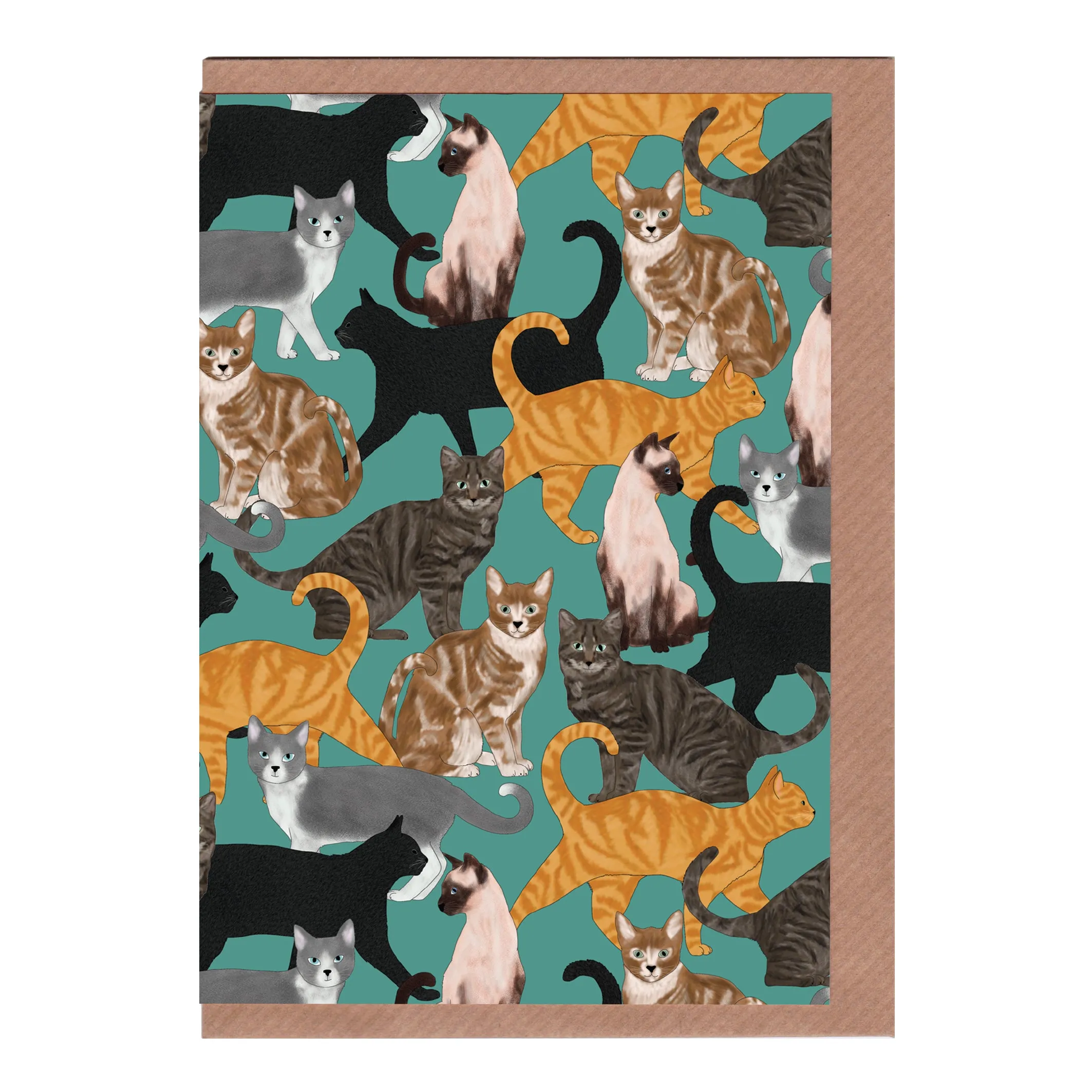 Cats - Greetings Card