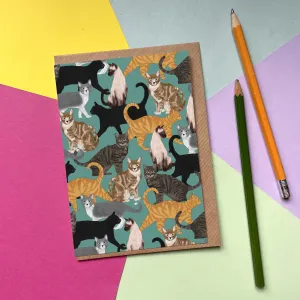 Cats - Greetings Card