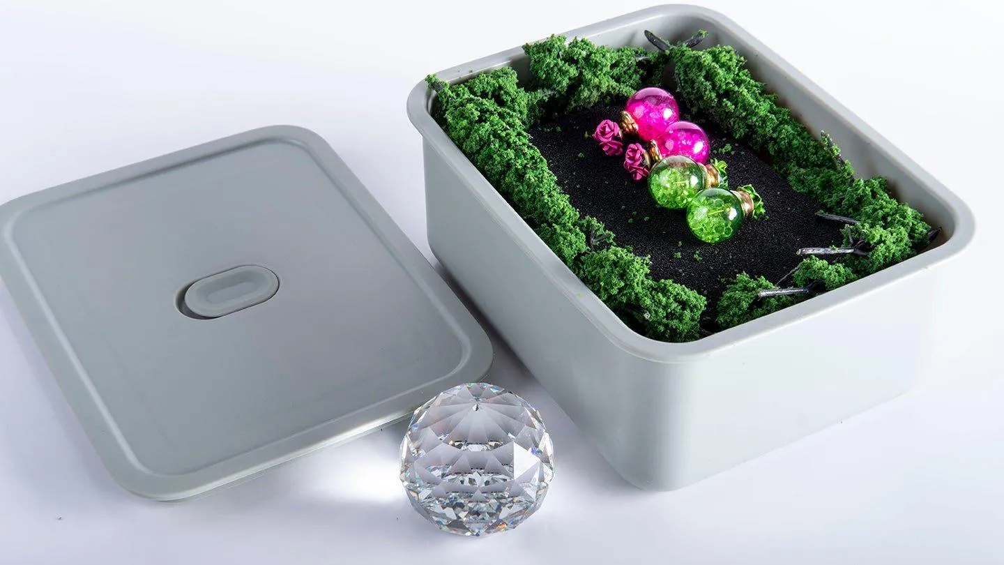 fabufabu personal storage box